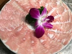 -禄婶鸡煲·打边炉