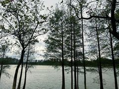 -松山湖风景区松湖烟雨