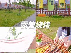 -栖露营camping·天幕烧烤·团建拓展·采摘营地