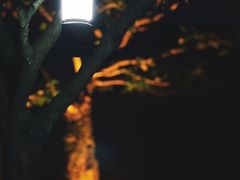 -溪口商量岗景区