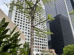 -尼依格罗香港美利酒店