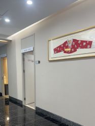 -上海首尔丽格医疗美容医院