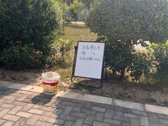 -少华山国家森林公园