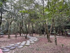-广州市石门国家森林公园