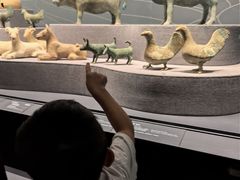 -广西壮族自治区博物馆