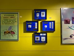 -上海昆虫博物馆