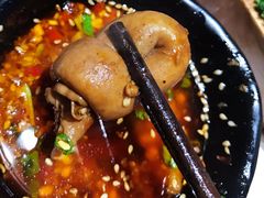 -独食火锅·半米屋台(直营总店)