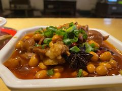 红烧肥肠-张豆花(碚峡路店)