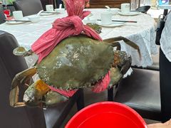 -凤城礼记鱼翅海鲜酒家(新马路总店)