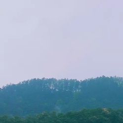 -凡碧诗毛孔收细