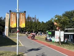 -上海长兴岛郊野公园