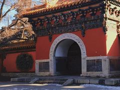 -北陵公园