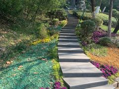 -菊花台公园