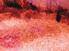 -水晶之星洗浴温泉汗蒸