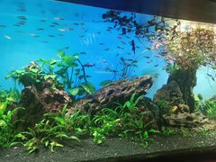 -太平洋海底世界