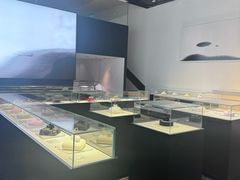 -BLACKSWAN黑天鹅(环球店)