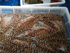 -盒马鲜生(馥邦国际店)