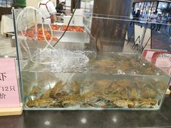 水产区-阿胖龙虾(罍街店)