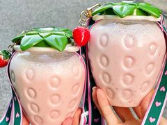 -白色日记·手作酸奶(麦凯乐店)