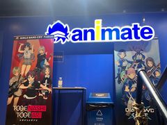 -Animate(工人体育场东路店)