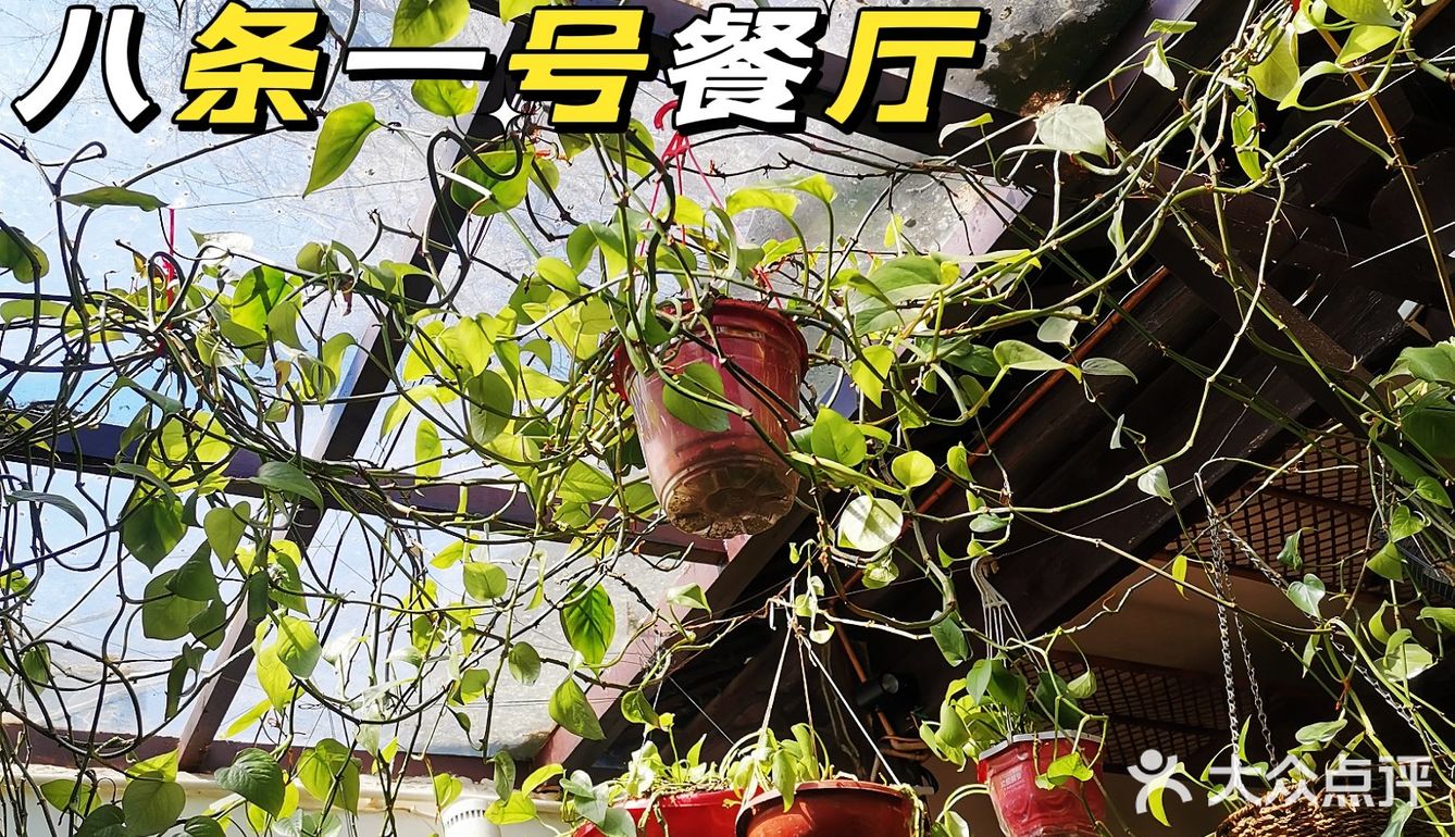 味道吹爆的胡同菜 省一张花城机票 来吃汽锅鸡