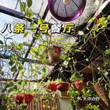 味道吹爆的胡同菜 省一张花城机票 来吃汽锅鸡