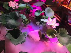 -韵秋荷(宝山龙湖天街店)
