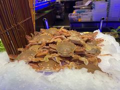 -九月海·海鲜自助(世纪东方店)