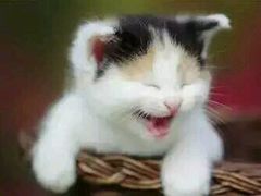 -中影国际影城(建军路金鹰购物中心店)