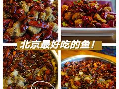 -望京一号·重庆江湖菜(工体店)