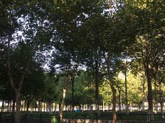 -西北湖绿化广场