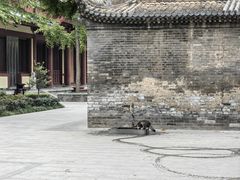 -西安大兴善寺