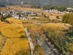 -塔川景区