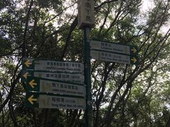 -南丫岛