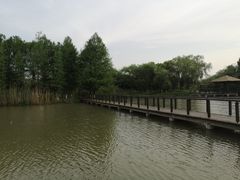 -苏州太湖国家湿地公园