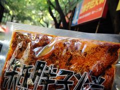 -朱氏胖子烂火锅(洪崖洞店)