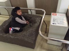 -大阪市立自然史博物馆