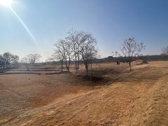 -盘龙城国家考古遗址公园