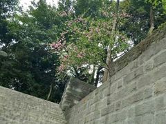 -重庆工商大学(南岸校区)
