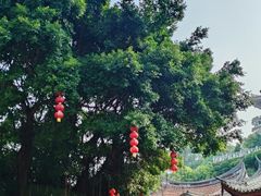 -湄洲岛