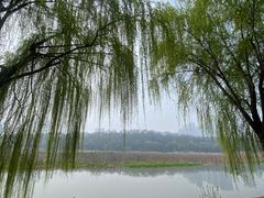 -月湖风景区