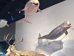 -中国湿地博物馆