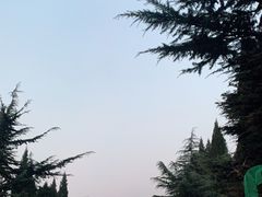 -青州驼山滑雪场