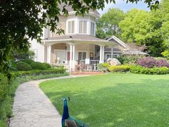 -J Create城市露营咖啡·简餐·宠物(上海动物园店)