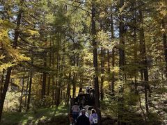 -苏木山森林公园