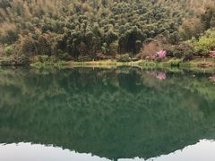 -天目湖山水园