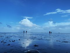 -南汇嘴观海公园