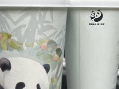 -都江堰中华大熊猫苑