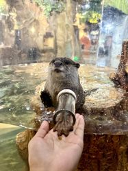 -Zoolung Zoolung动物主题公园(海信广场店)