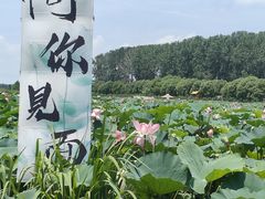 -渌洋湖湿地公园